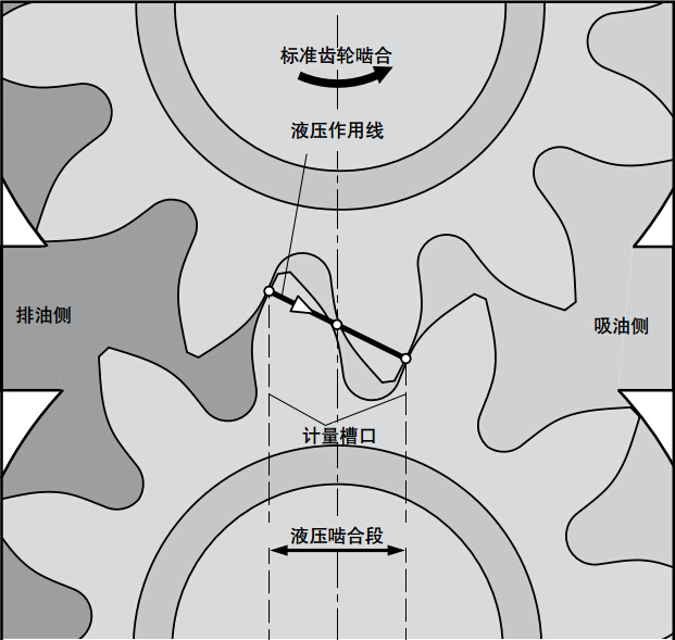 力士樂(lè)AZPU系列齒輪泵標(biāo)準(zhǔn)排量方法